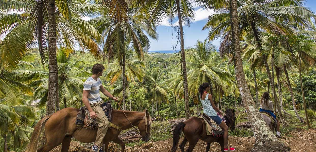Ecotourism in the Dominican Republic: Exploring the Caribbean's Green Paradise