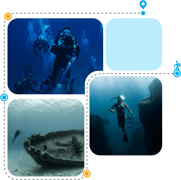 Dive into the Depths of the Caribbean Sea