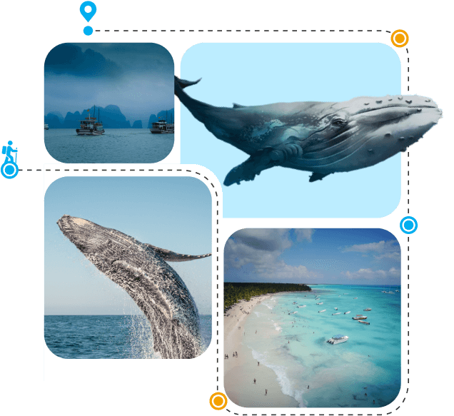 Experience the Excitement of Whale Watching in Samaná Bay